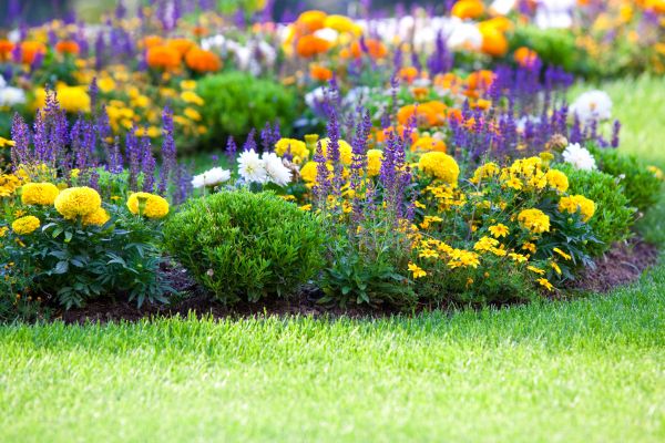 Flower Bed Maintenance in Post Falls