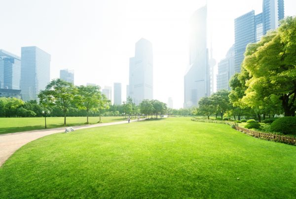 Commercial Landscape Maintenance in Post Falls