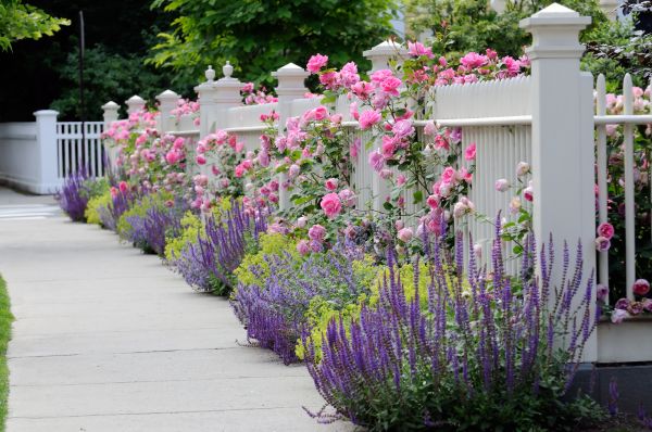 Garden Handyman Service in Post Falls