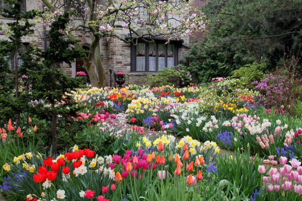 Garden Maintenance Service in Post Falls