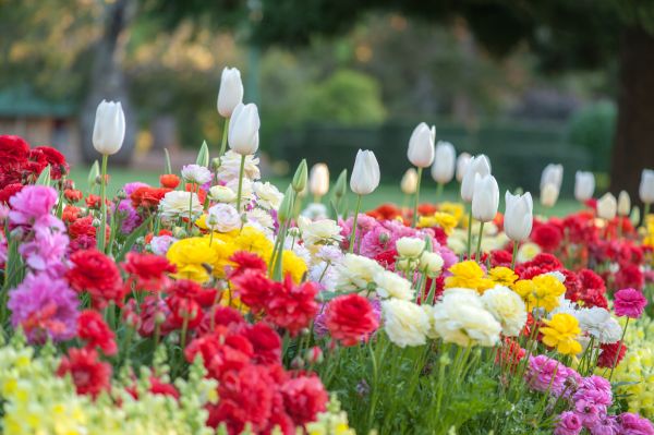 Gardening Service in Post Falls