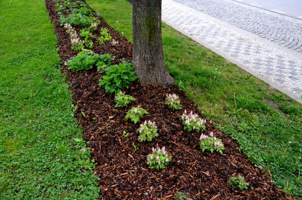 Mulch Replacement Service in Post Falls