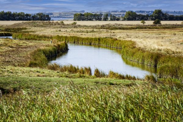 Swale Landscaping in Post Falls