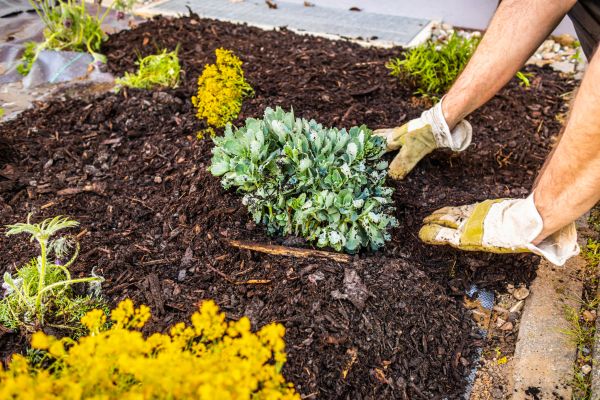 Weeding And Mulching in Post Falls