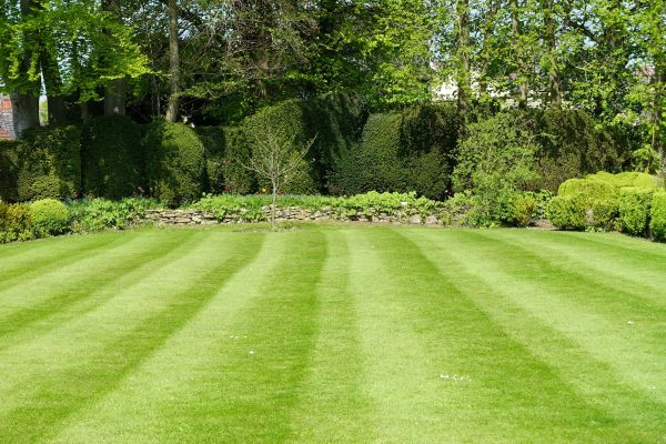 Lawn Renovation in Post Falls