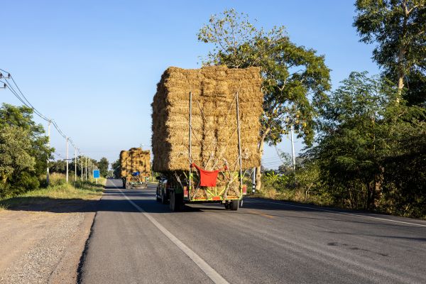 Pine Straw Delivery in Post Falls