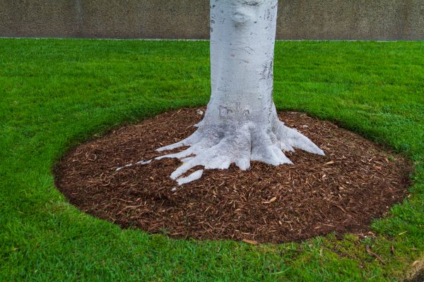 Brown Mulch Installation in Post Falls