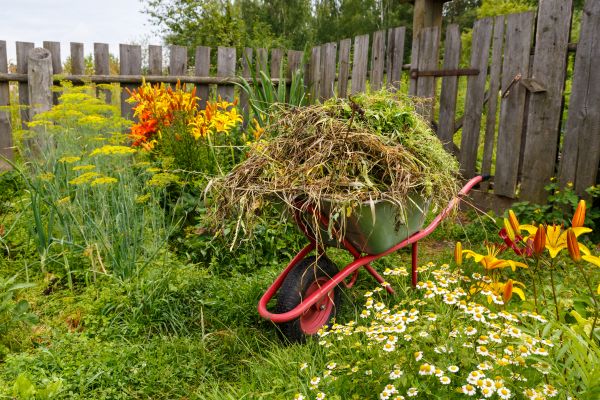 Garden Cleanup Service in Post Falls