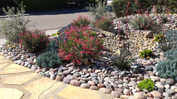 Xeriscape Landscaping in Post Falls