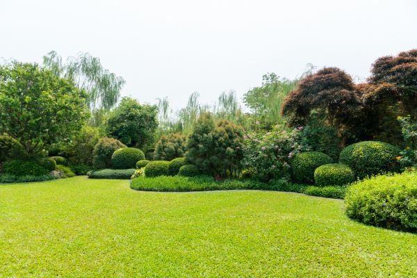 Tree Landscaping in Post Falls