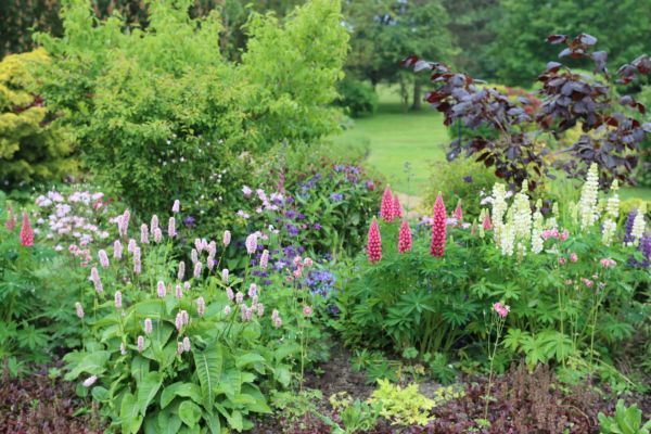 Flower Bed Planting in Post Falls