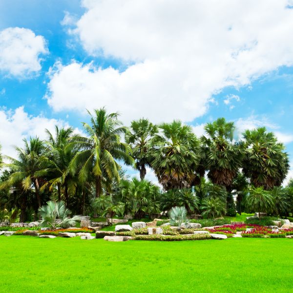 Tropical Landscaping in Post Falls