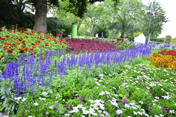 Perennials Planting in Post Falls