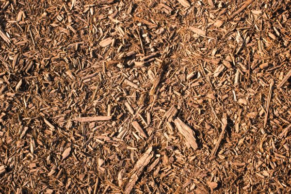 Wood Chips Removal in Post Falls