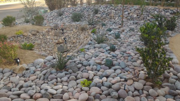 Yard Xeriscaping in Post Falls