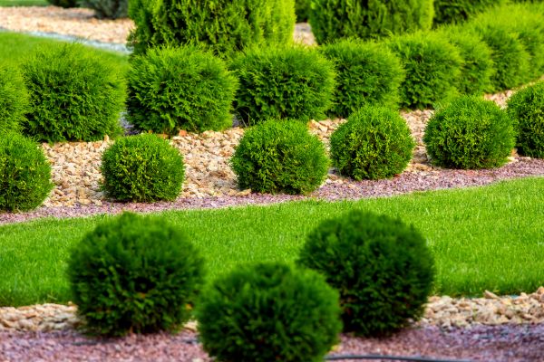 Bush Replacement in Post Falls