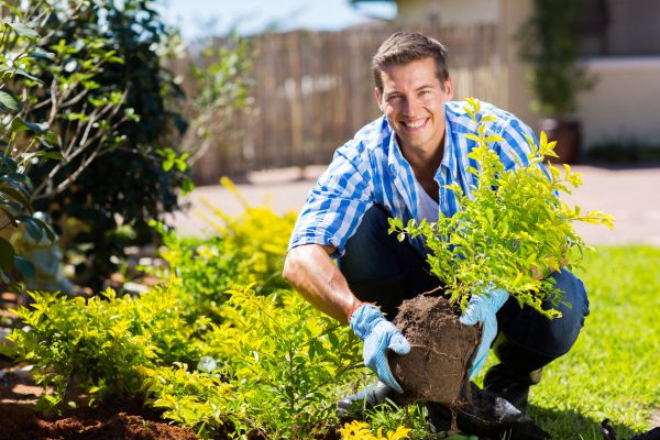 Shrub Landscaping in Post Falls