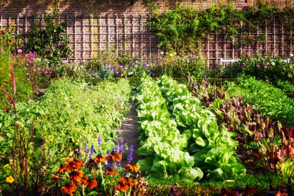 Garden Planting Service in Post Falls