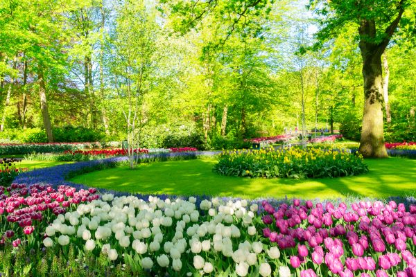 Flower Landscaping in Post Falls