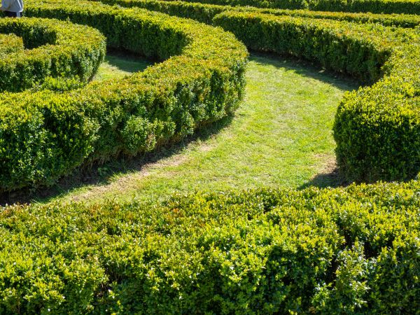 Bush Landscaping in Post Falls