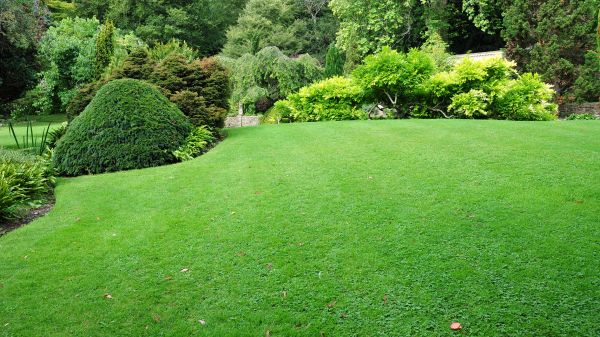Commercial Landscape Design in Post Falls