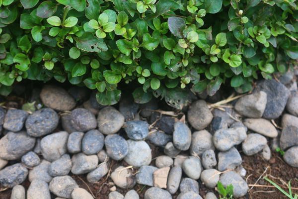 River Stone Installation in Post Falls