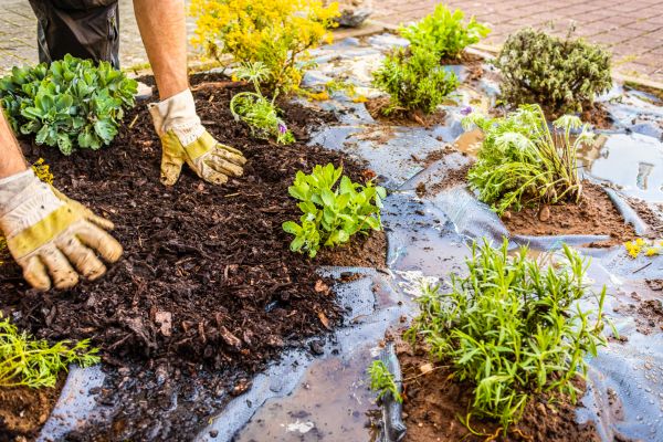 Mulch Fabric Installation in Post Falls