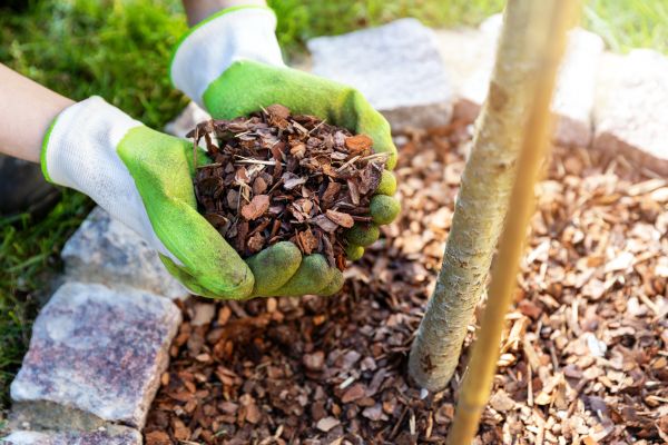 Tree Bark Delivery in Post Falls