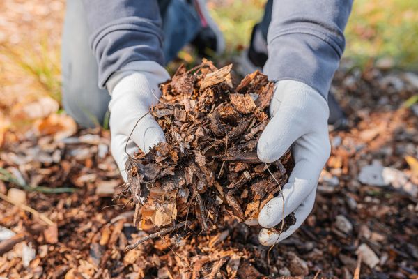 Shredded Mulch Installation in Post Falls