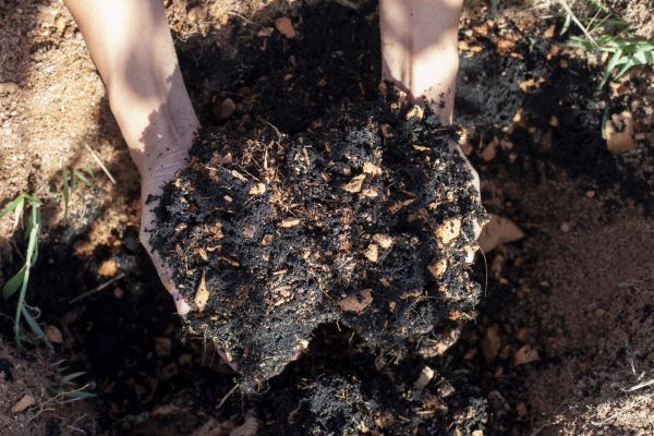 Organic Mulch Installation in Post Falls
