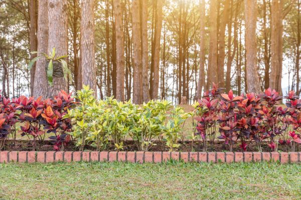Small Garden Landscaping in Post Falls