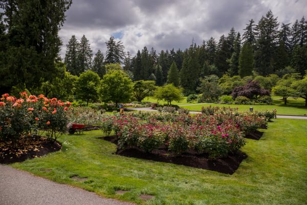 Flower Garden Landscaping in Post Falls