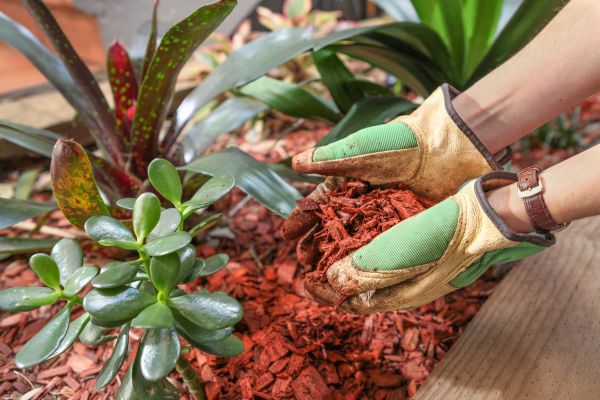 Cedar Mulch Installation in Post Falls
