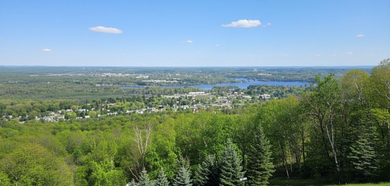 Landscape Construction Service